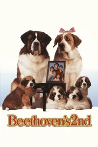 Afacan Köpek Beethoven 2