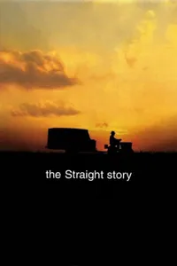 Straight’in Hikayesi