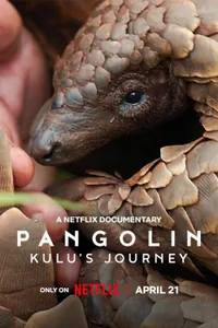 Pangolin Kulus Journey